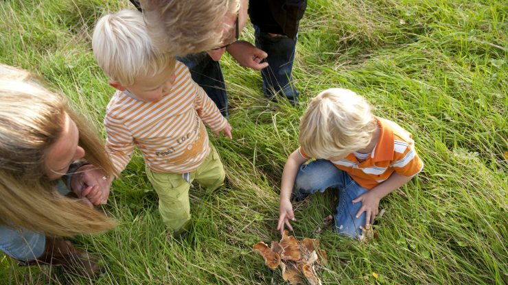 Birleşik Krallık’ta çocukların yüzde 76’sı doğada daha çok zaman geçirmek istiyor